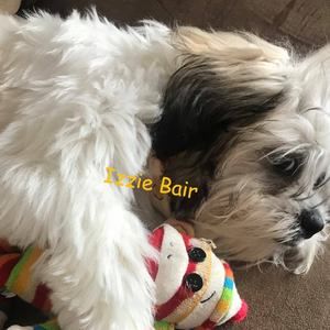 Meet your Posher, Roscoeandbetty